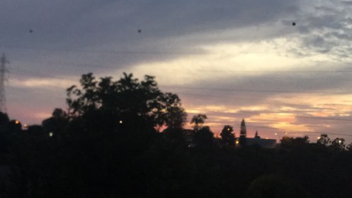 07D6490C-A8E5-4185-BFCB-4515621E2AB4